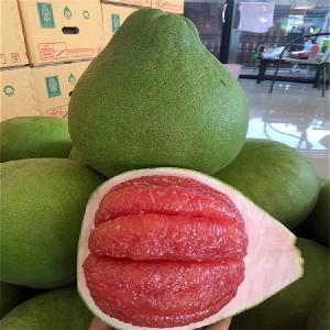 柚子批發(fā)市場(chǎng)指南 渠道、價(jià)格與采購策略